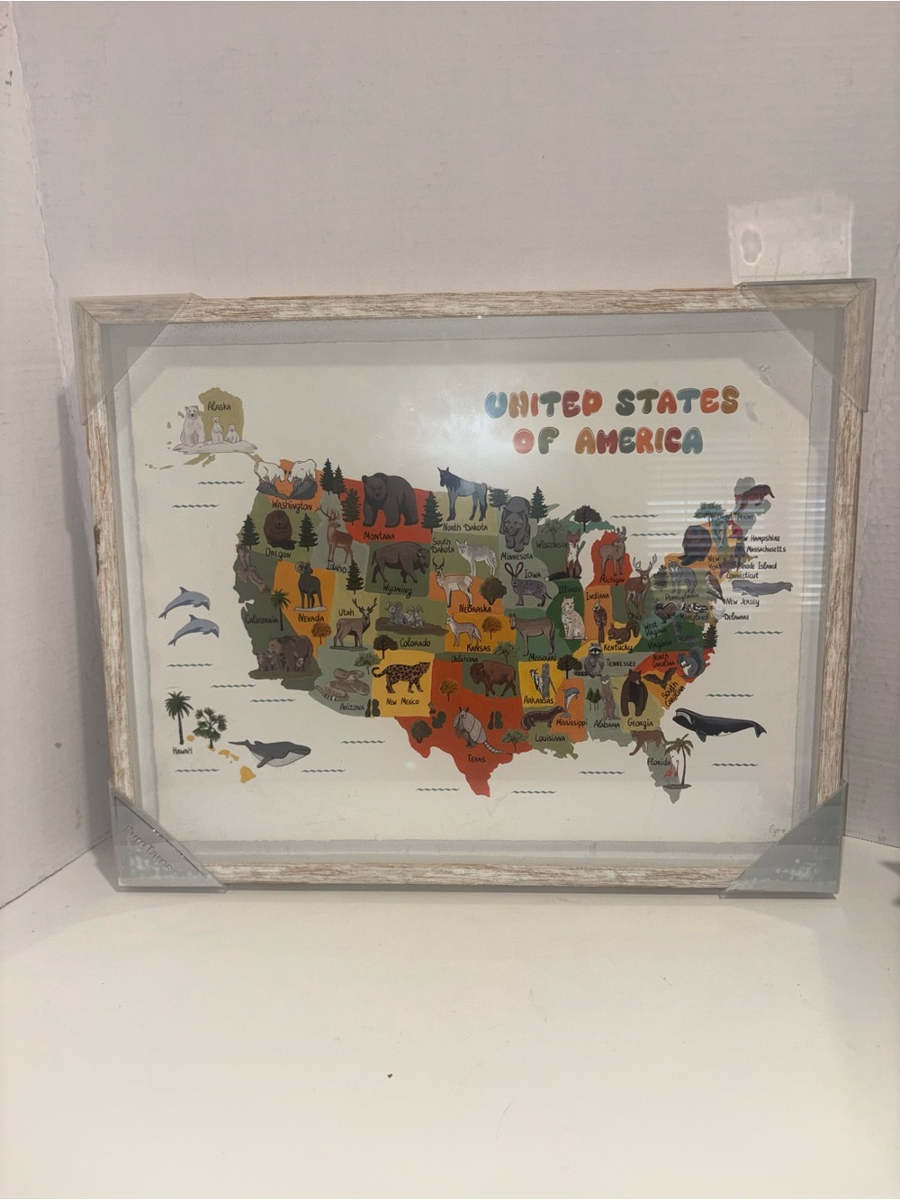 United States Illustrated Animal Map Framed Wall Art - Multicolor